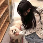 小偷模拟器3手游下载